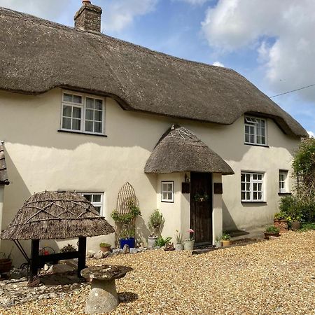 Guest Suite At 31 Little England Milborne Saint Andrew Exteriér fotografie
