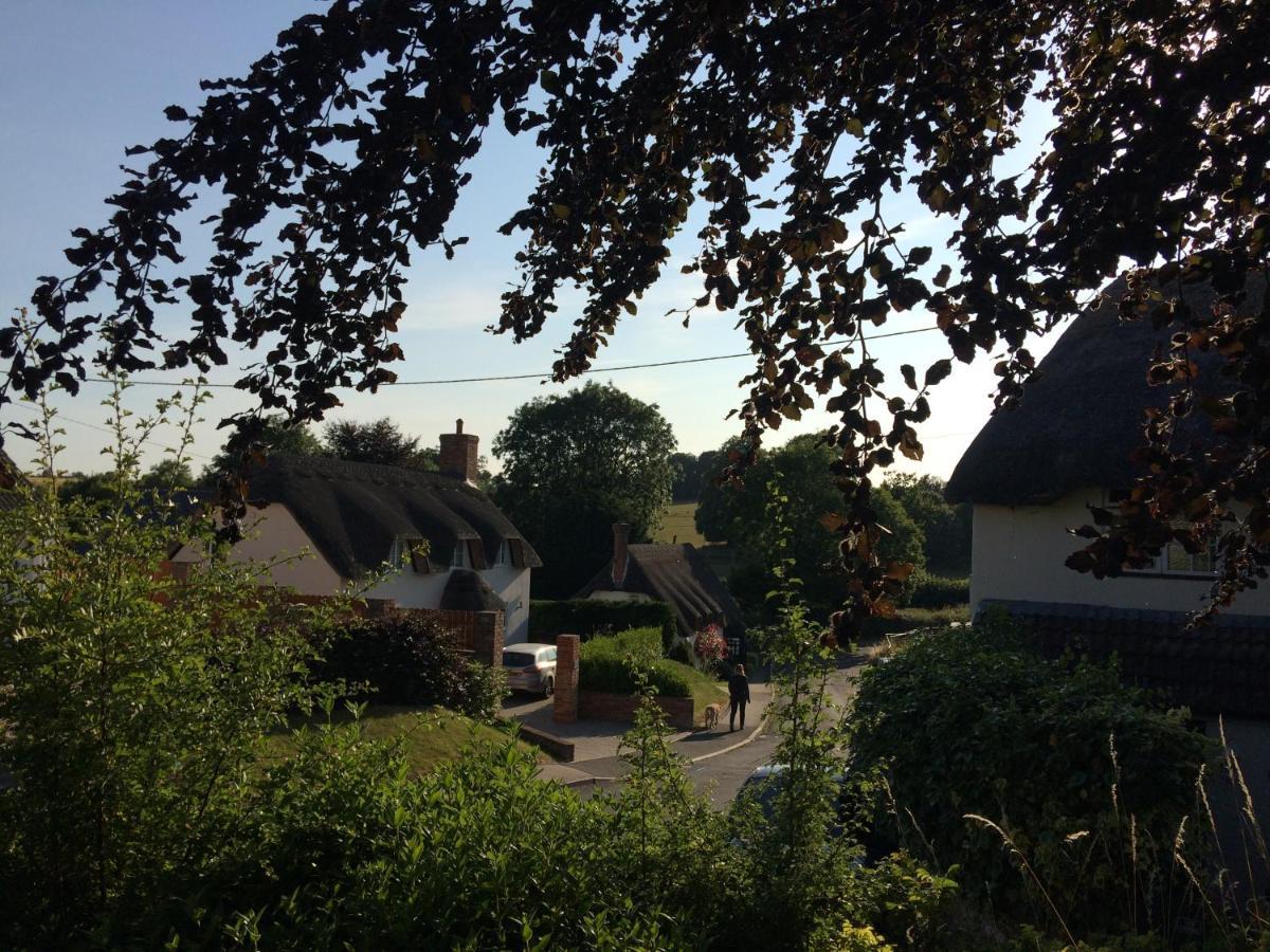 Guest Suite At 31 Little England Milborne Saint Andrew Exteriér fotografie
